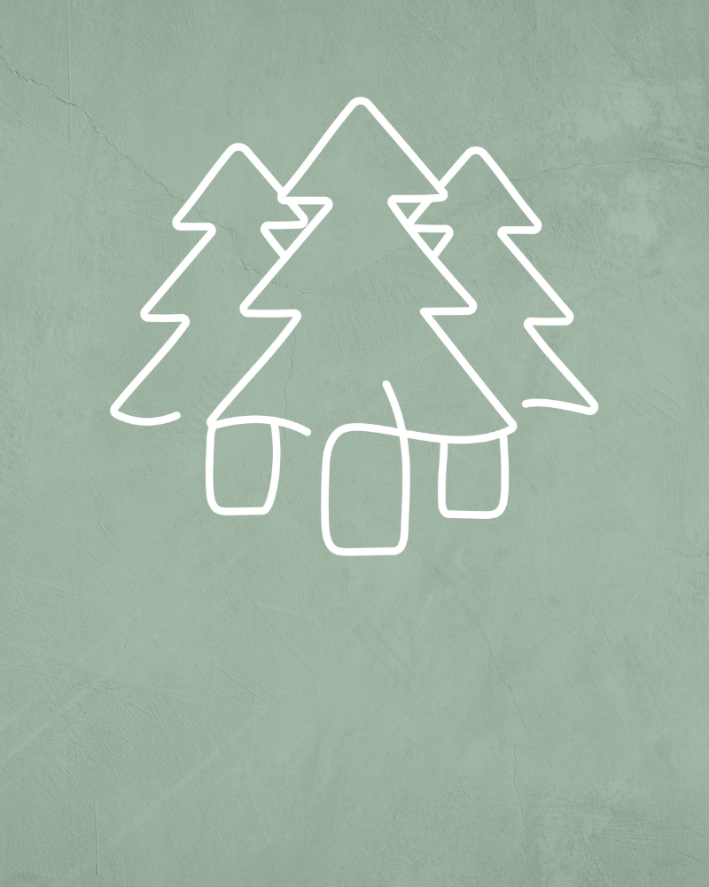 Green textured background with line drawing of fir trees.